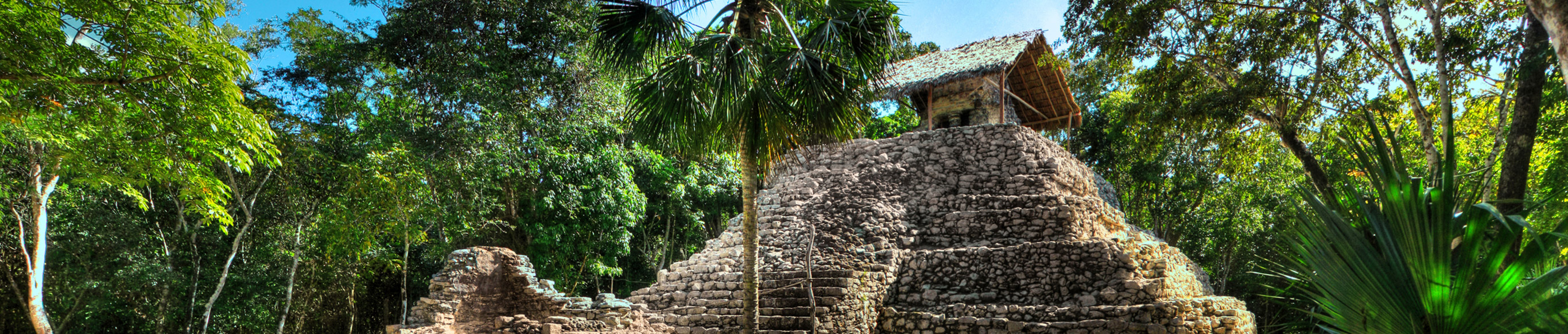 Cobá